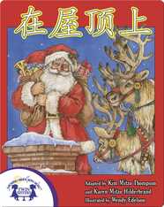 在屋顶上