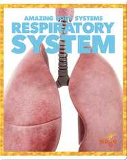 Amazing Body Systems: Respiratory System