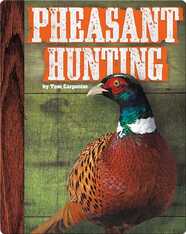 Pheasant Hunting