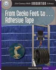 From Gecko Feet to Adhesive Tape