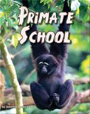 Primate School