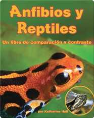 Anfibios y Reptiles: un libro de comparación y contraste