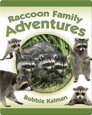 Raccoon Family Adventures