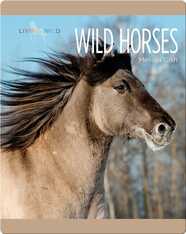 Wild Horses