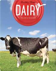 Dairy