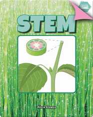 Stem