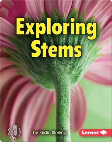 Exploring Stems book