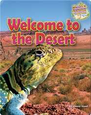 Welcome to the Desert