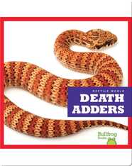 Reptile World: Death Adders