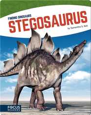 Stegosaurus