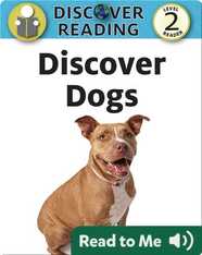 Discover Dogs