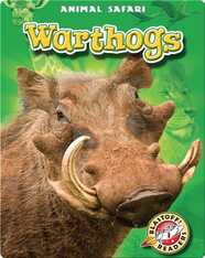 Warthogs: Animal Safari