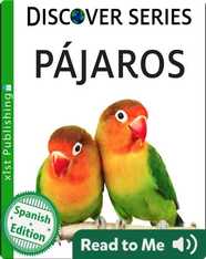 Pájaros