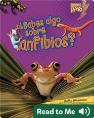 ¿Sabes algo sobre anfibios? (Do You Know about Amphibians?)