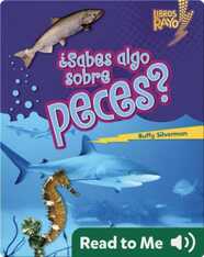 ¿Sabes algo sobre peces? (Do You Know about Fish?)