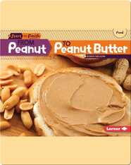 From Peanut to Peanut Butter
