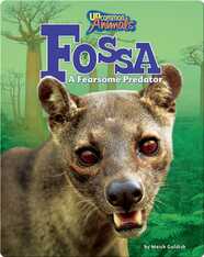 Fossa: A Fearsome Predator