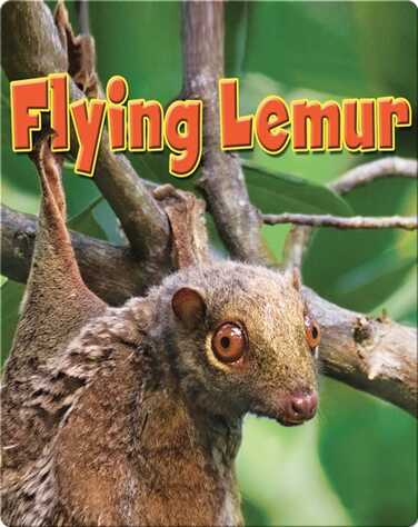 Flying Lemur book