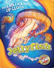 Jellyfish