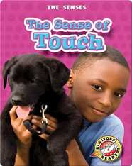 The Sense of Touch