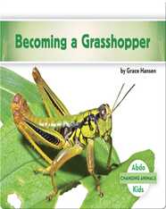 Becoming a Grasshopper