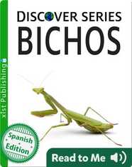 Bichos