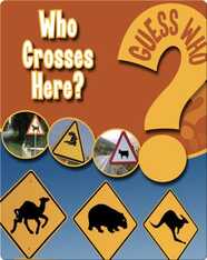 Who Crosses Here?