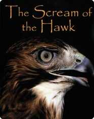 The Scream of the Hawk
