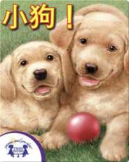 小狗！