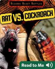 Rat vs. Cockroach
