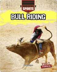 Bull Riding