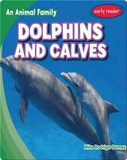 Dolphins and Calves