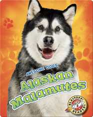 Alaskan Malamutes