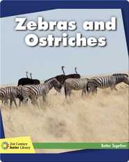 Zebras and Ostriches