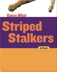 Striped Stalkers