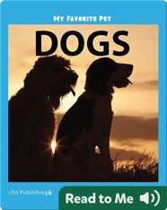 My Favorite Pet: Dogs