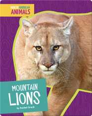 Mountain Lions