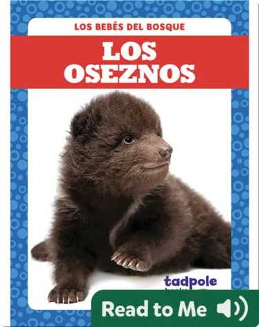 Los Oseznos book