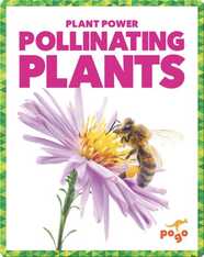 Pollinating Plants