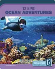 12 Epic Ocean Adventures