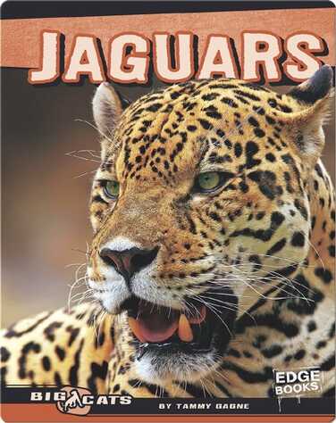 Jaguars book