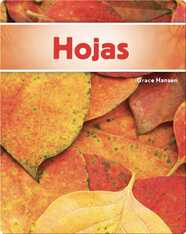 Hojas