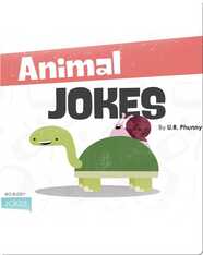 Animal Jokes