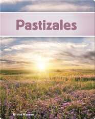 Pastizales