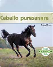 Caballo purasangre