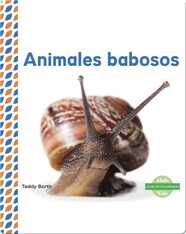 Animales babosos