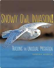 Snowy Owl Invasion!: Tracking an Unusual Migration