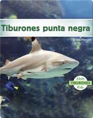 Tiburones punta negra