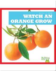 Watch an Orange Grow