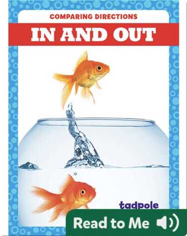 In and Out book
